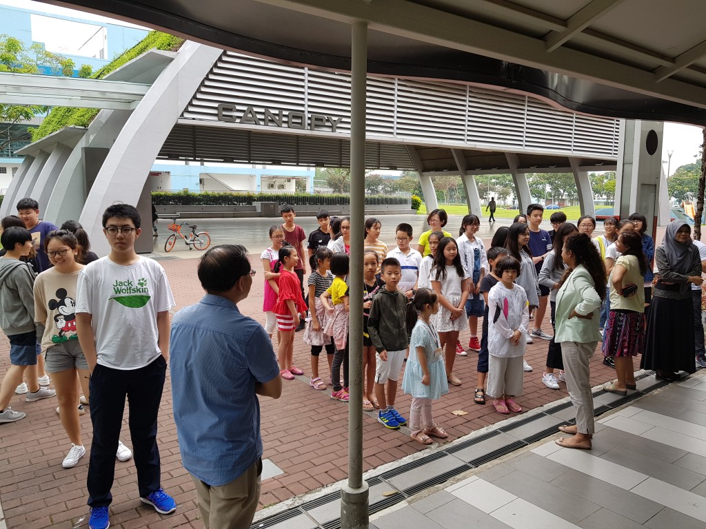 新加坡春天国际学院的课程注重理论和实践应用