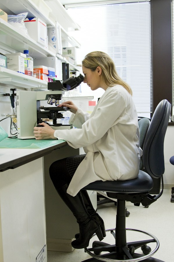 SCI 健康科学与医学课程