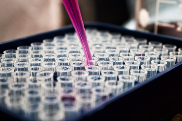 SCI 科学与技术课程